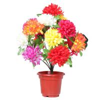 uploads/erp/collection/images/Home Garden/CongDing/XU0610722/img_b/XU0610722_img_b_5